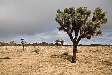 手绘风银河城游戏《海鼠的诅咒》延期至2023年发售