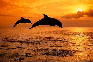 二战策略《被遗忘的我们》Steam发售 玩家评价褒贬不一